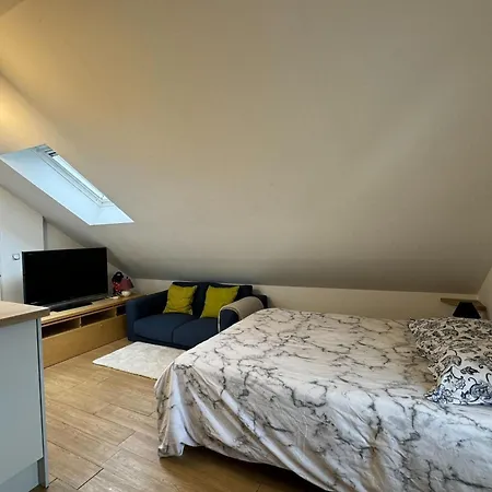 Spacious Duplex In The Heart Of Apartman *